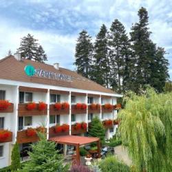 Imagine pentru Hotel Park Sfantu Gheorghe Cazare - Sfantu Gheorghe, Covasna 2026