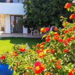 Imagine pentru Datca Cazare - Litoral Bodrum 2026
