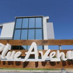 Imagine pentru Hotel Blue Avenue Cazare - Litoral Paliouri (kassandra) 2025
