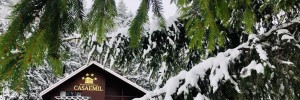 Imagine pentru Hotel Boutique Casa Emil Cazare - Munte Poiana Brasov la hoteluri de 4* stele 2025