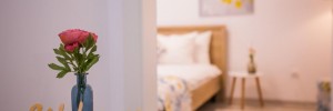 Imagine pentru Apartment Ella Brasov Cazare - Munte Brasov la hoteluri de 3* stele 2025
