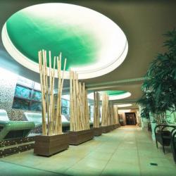 Imagine pentru Hotel Primera Dru And Spa Cazare - City Break Baia Mare la hoteluri de 4* stele 2024