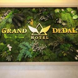 Imagine pentru Hotel Grand Dedal Cazare - Litoral Mamaia 2026