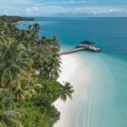 Imagine pentru Ari-atoll Cazare - Maldive la hoteluri de 4* stele 2024