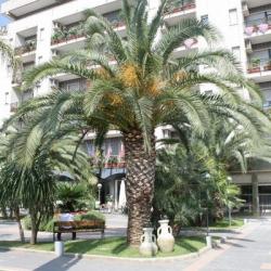 Imagine pentru Hotel Rondo Cazare - Bari 2026