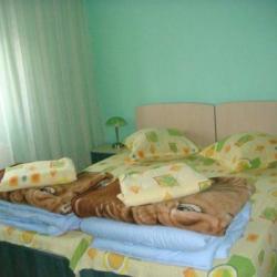 Imagine pentru Pensiune Vital Cazare - Delta Dunarii la hoteluri de 3* stele 2025