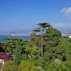 Imagine pentru Hotel Spicy Cazare - Litoral Campania 2026