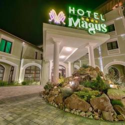 Imagine pentru Magus Hotel Cazare - Cavnic 2024