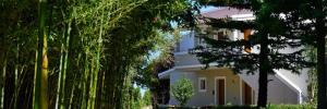 Imagine pentru Insula Corfu Charter Avion - Grecia 2025