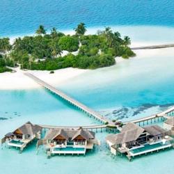 Imagine pentru Hotel Per Aquum Niyama Cazare - Dhaalu Atoll 2026