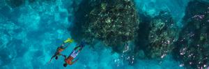 Imagine pentru Intercontinental Bora Bora Le Moana Resort Cazare - Bora Bora 2024