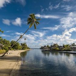 Imagine pentru Windward Islands Cazare - Polinezia Franceza 2024