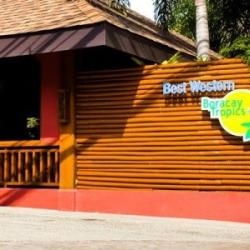 Imagine pentru Hotel Best Western Boracay Tropics Cazare - Filipine 2025