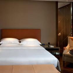 Imagine pentru Hotel Ararat Park Hyatt Cazare - Moscow 2026