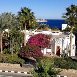 Imagine pentru Hotel Domina Coral Bay Harem Charter Avion - Sharm El Sheikh 2024