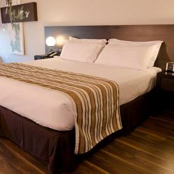 Imagine pentru Hotel My Suites Montevideo Boutique Cazare - Uruguay 2024