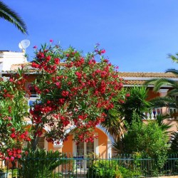 Imagine pentru Lea Family Apartments Cazare - Kassiopi 2026