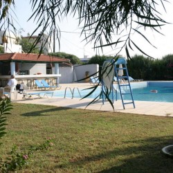 Imagine pentru Gorgona Hotel Charter Avion - Ammoudara 2025