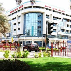 Imagine pentru Dubai Palm Hotel Cazare - Dubai la hoteluri de 3* stele 2024