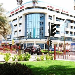 Imagine pentru Dubai Palm Hotel Cazare - Dubai la hoteluri de 3* stele 2025