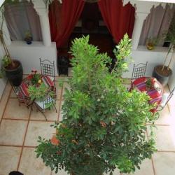 Imagine pentru Hotel Riad Hcekarram Cazare - Litoral Maroc 2026