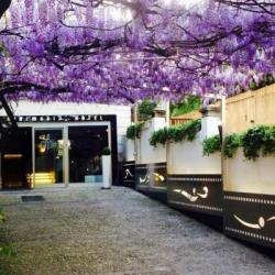 Imagine pentru Cinemusic Hotel City Break - Roma 2025
