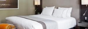 Imagine pentru Hotel Ac Palacio Del Retiro Cazare - City Break Madrid la hoteluri de 5* stele 2024