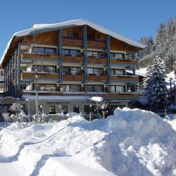 Imagine pentru Hotel Hanneshof Cazare - Munte Filzmoos la hoteluri de 4* stele 2024