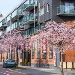 Imagine pentru Norwegian Hotels And Apartments Cazare - Norvegia la hoteluri de 4* stele 2025