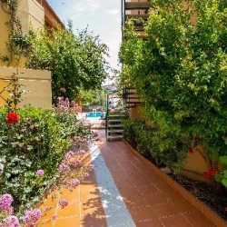 Imagine pentru Hotel Elotia Cazare - Aghii Apostoli 2027