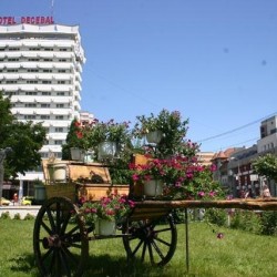 Imagine pentru Bacau Cazare - City Break Moldova la hoteluri de 3* stele 2024