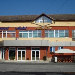Imagine pentru Maestro Hotel Cazare - City Break Marginimea Sibiului la hoteluri de 3* stele 2025