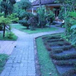 Imagine pentru Hotel Koenokoeni Villa Cazare - Seminyak - Kuta 2025