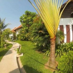Imagine pentru Rumahmu Boutique Hotel Cazare - Cambodgia 2025