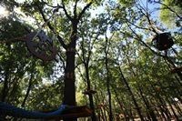 Imagine pentru Hotel Bilet Copil 2-13,9 Ani Paradis Land Cazare - Litoral Neptun 2026