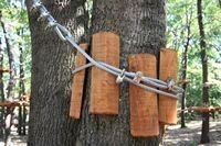 Imagine pentru Hotel Bilet Adult Paradis Land Cazare - Litoral Neptun 2026