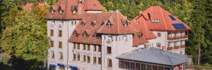 Imagine pentru Hotel Rina Cerbul Cazare - Munte Valea Prahovei 2023