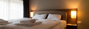 Imagine pentru Hotel Mika Superior Cazare - Ungaria 2026