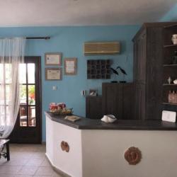 Imagine pentru Thalassa Hotel Cazare + Autocar - Ammouliani, Ouranoupoli 2025