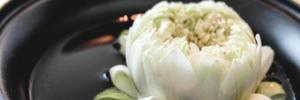 Imagine pentru Hotel Park Hyatt Bangkok Cazare - Bangkok 2026