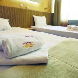 Imagine pentru Hotel Alabin Central Cazare - Sofia 2026