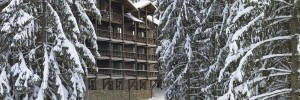 Imagine pentru Ana Hotels Bradul Poiana Brasov Cazare - Munte Poiana Brasov 2024