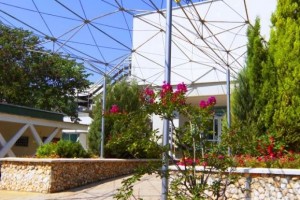 poza telefon Hotel Althea