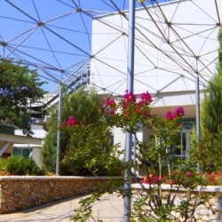 Imagine pentru Hotel Althea Cazare - Litoral Albena la hoteluri de 3* stele 2025