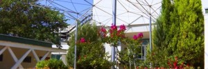 Imagine pentru Hotel Althea Cazare - Litoral Albena la hoteluri de 3* stele 2025