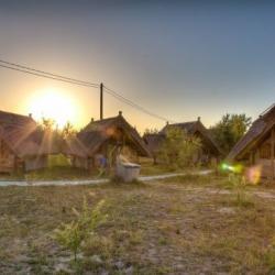 Imagine pentru Hotel Green Dolphin Cazare - Sfantu Gheorghe, Tulcea 2026