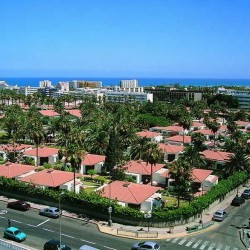Imagine pentru Hotel Miraflor Suites Bungalows Cazare - Litoral Gran Canaria 2024