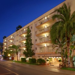 Imagine pentru Hotel Les Palmeres - Calella Cazare - Litoral Calella la hoteluri de 4* stele 2025