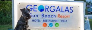 Imagine pentru Georgalas Sun Beach Hotel & Vila Cazare - Litoral Nea Kallikratia (kassandra) 2024