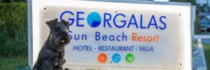 Imagine pentru Georgalas Sun Beach Hotel & Vila Cazare - Litoral Nea Kallikratia (kassandra) 2025